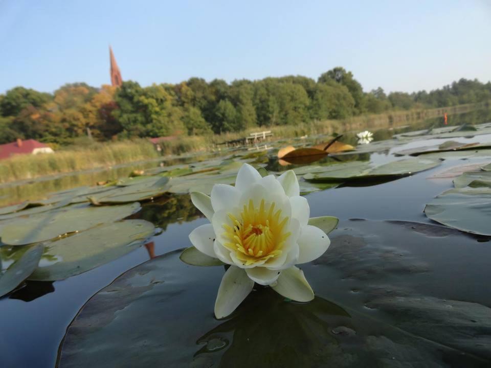 Agroturystyka Chycina ภายนอก รูปภาพ